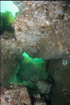 PILE OF BOULDERS