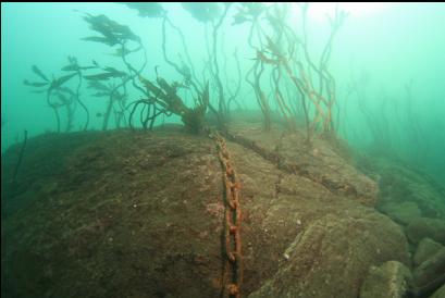 chain running up reef