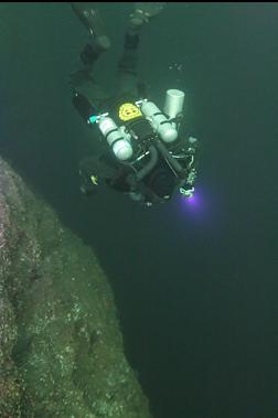 LOOKING OVER EDGE OF WALL