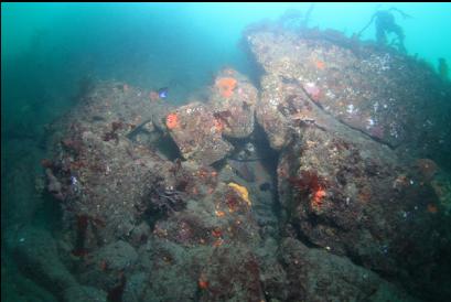 small wall at tip of reef