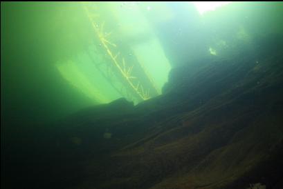 looking up under bridge