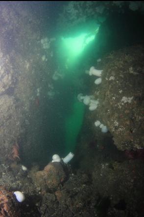 looking out the deeper exit from the cavern