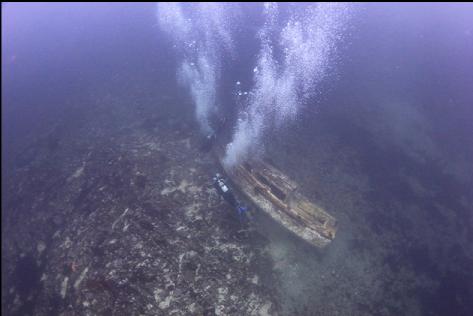 school group divers