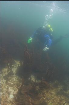 AT SURFACE