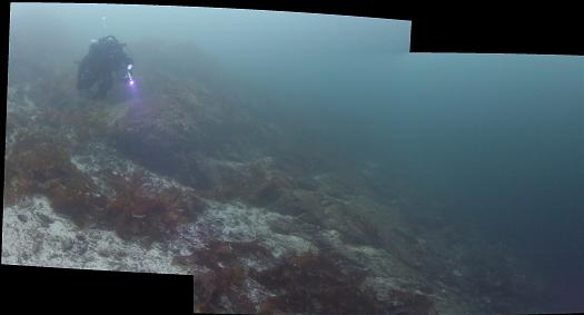 leaving shallows