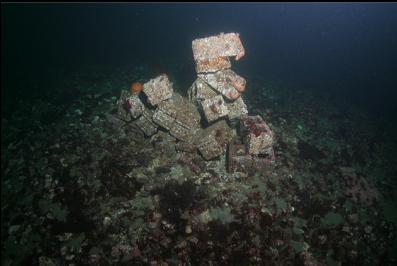 pile of cinder blocks