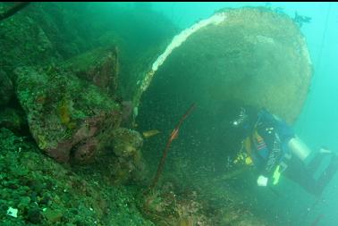 looking in pipe