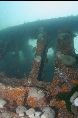 HOLES IN WRECK