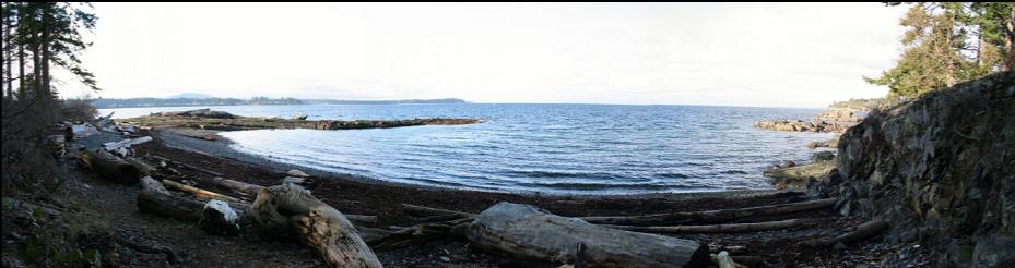 PANORAMA OF BEACH