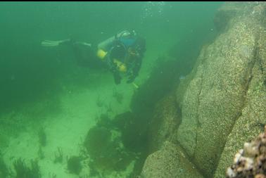 in shallows next to Coffin Point