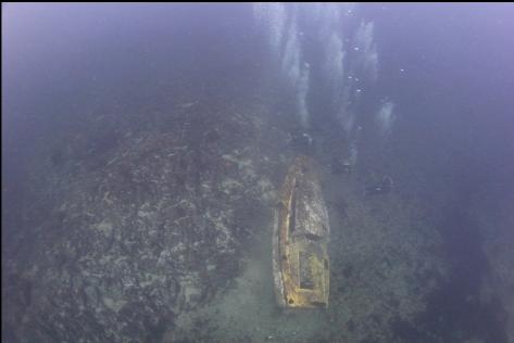 school group divers