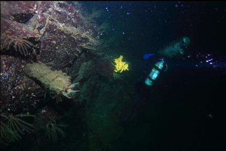 cloud sponge at the bottom of the wall