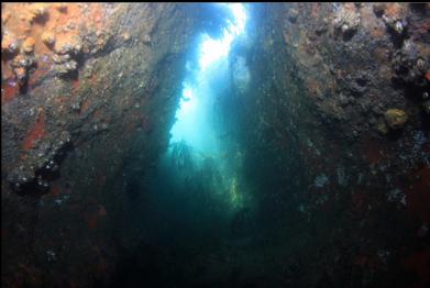 looking out of "tunnel"