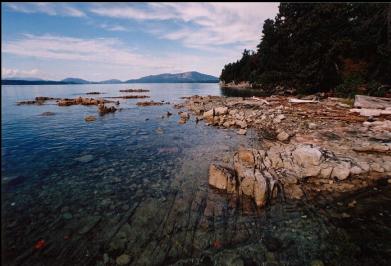 LOOKING NORTH ON BEACH