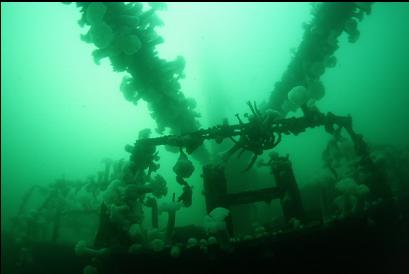 looking up at bow area from hold