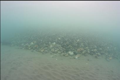 border of sand and pebbles near shore