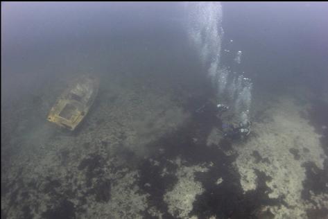 school group divers