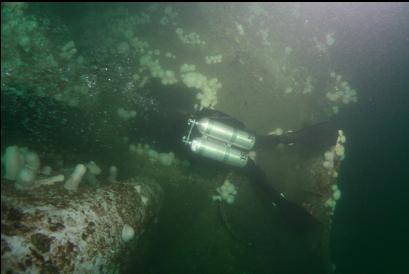 diver looking in hole