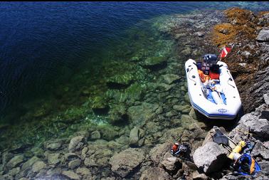 clear water in shallows