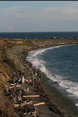 beach beside Clover Point