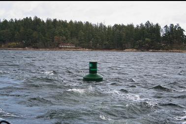 buoy and Yarrow Point