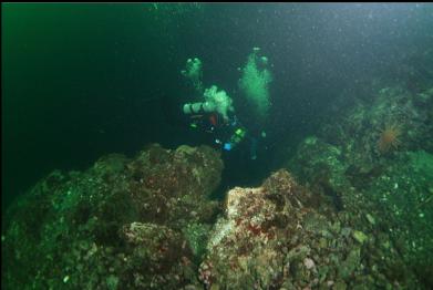 over edge of wall