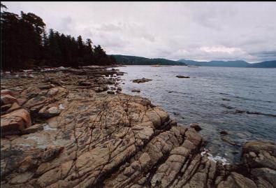 LOOKING SOUTH ON BEACH