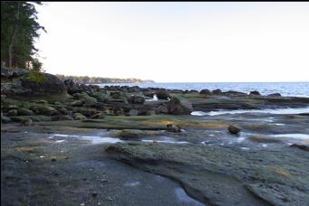 LOOKING LEFT ON BEACH