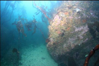 reef and sandy channel