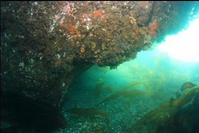 overhanging side of large boulder