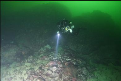 almost at base of wall