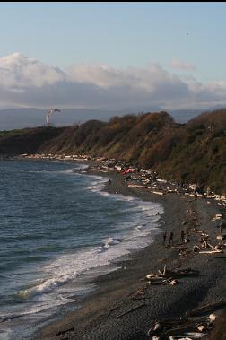 beach near Clover Point 