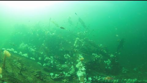the wreck with the bow on the right