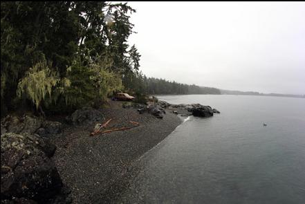 the beach at the end of the public access lane