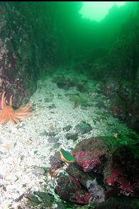 DECORATED WARBONNET IN BOTTOM RIGHT CORNER