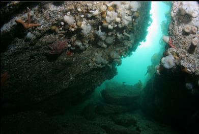 leaving small tunnel