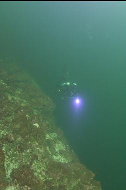 AGAIN AT TOP OF WALL