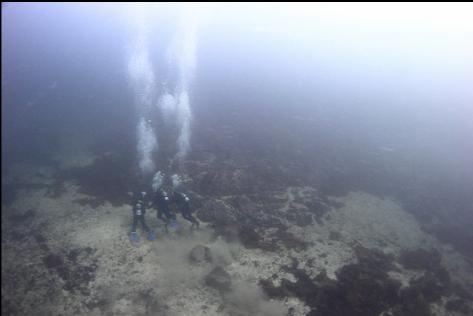 school group divers