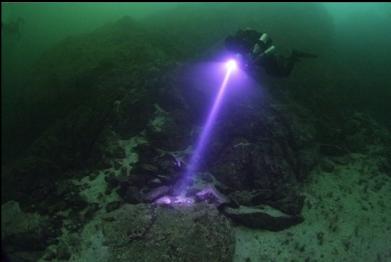 welding rocks together