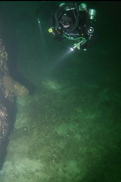 BOOT SPONGES AT BASE OF WALL