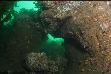 small tunnel in rock formation