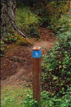 START OF TRAIL