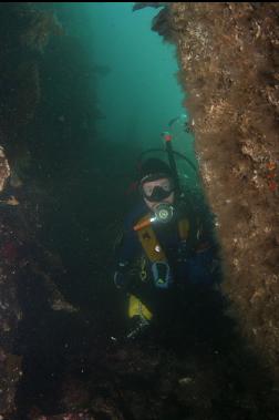 SWIMMING THROUGH CRACK