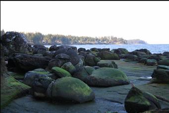 BOULDERS ON BEACH