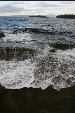 looking across to Cottam Point