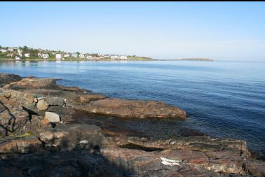 Looking towards Harling Point and Trial Island