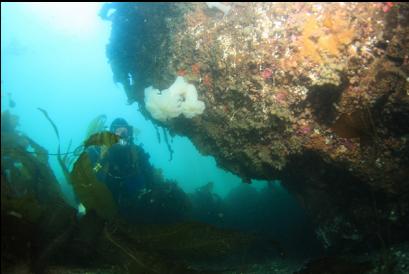 overhanging side of large boulder