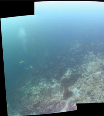 FLAT SANDY AREA PANORAMA