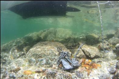 anchor under boat