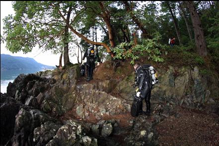 up the rocks